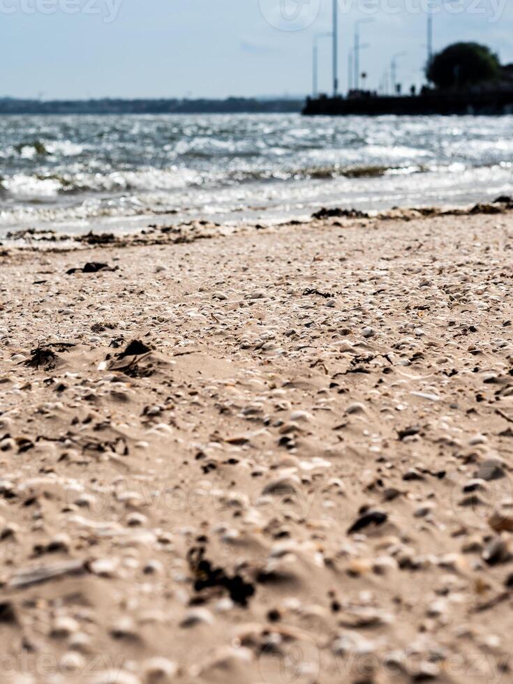 dublino, sandmount spiaggia onde su soleggiato giorno con conchiglie nel il sabbia nel il primo piano foto