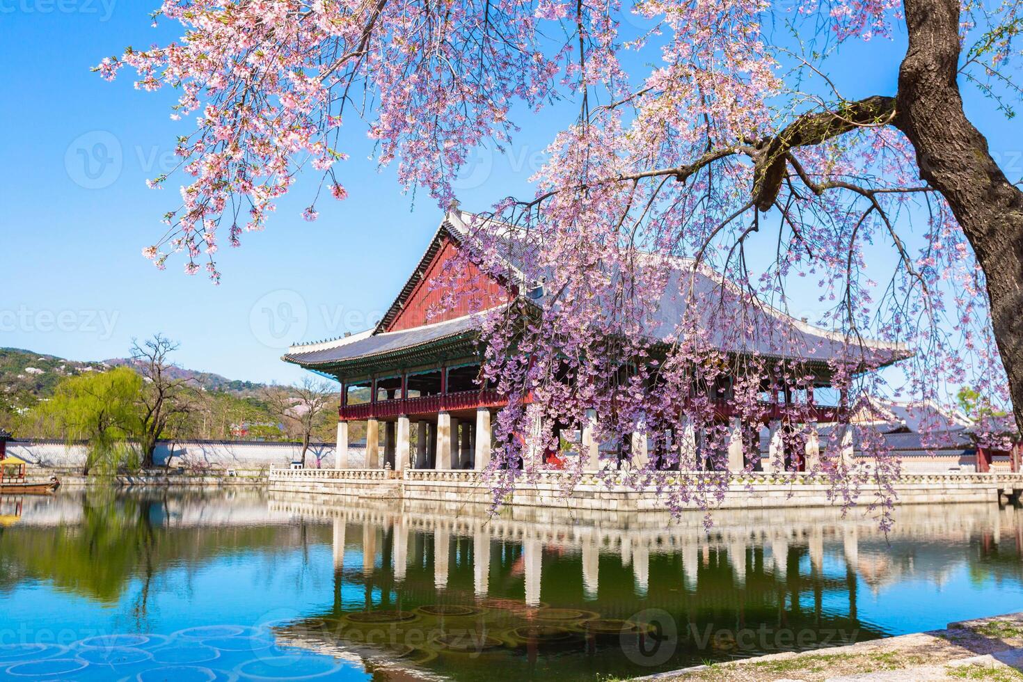 Gyeongbokgung palazzo con ciliegia fiorire albero nel primavera tempo nel Seoul città di Corea, Sud Corea. foto