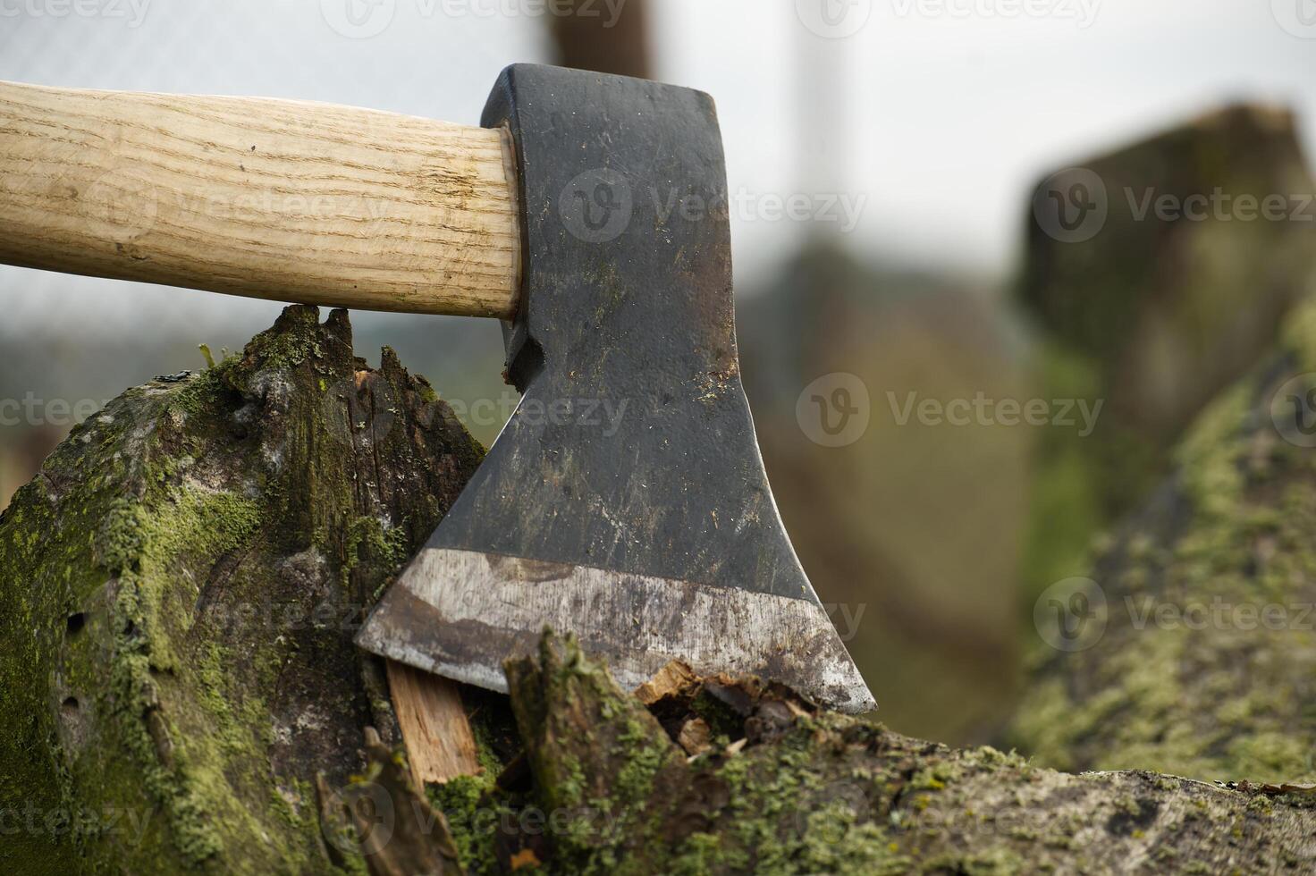 vicino su di un' nero accetta con un' di legno maniglia foto