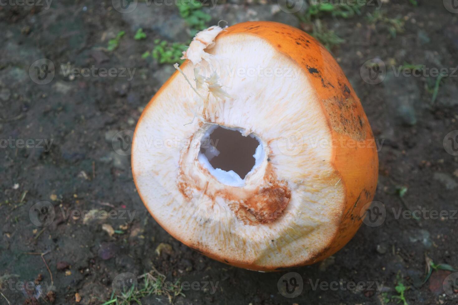 un' giovane arancia pelato Noce di cocco foto