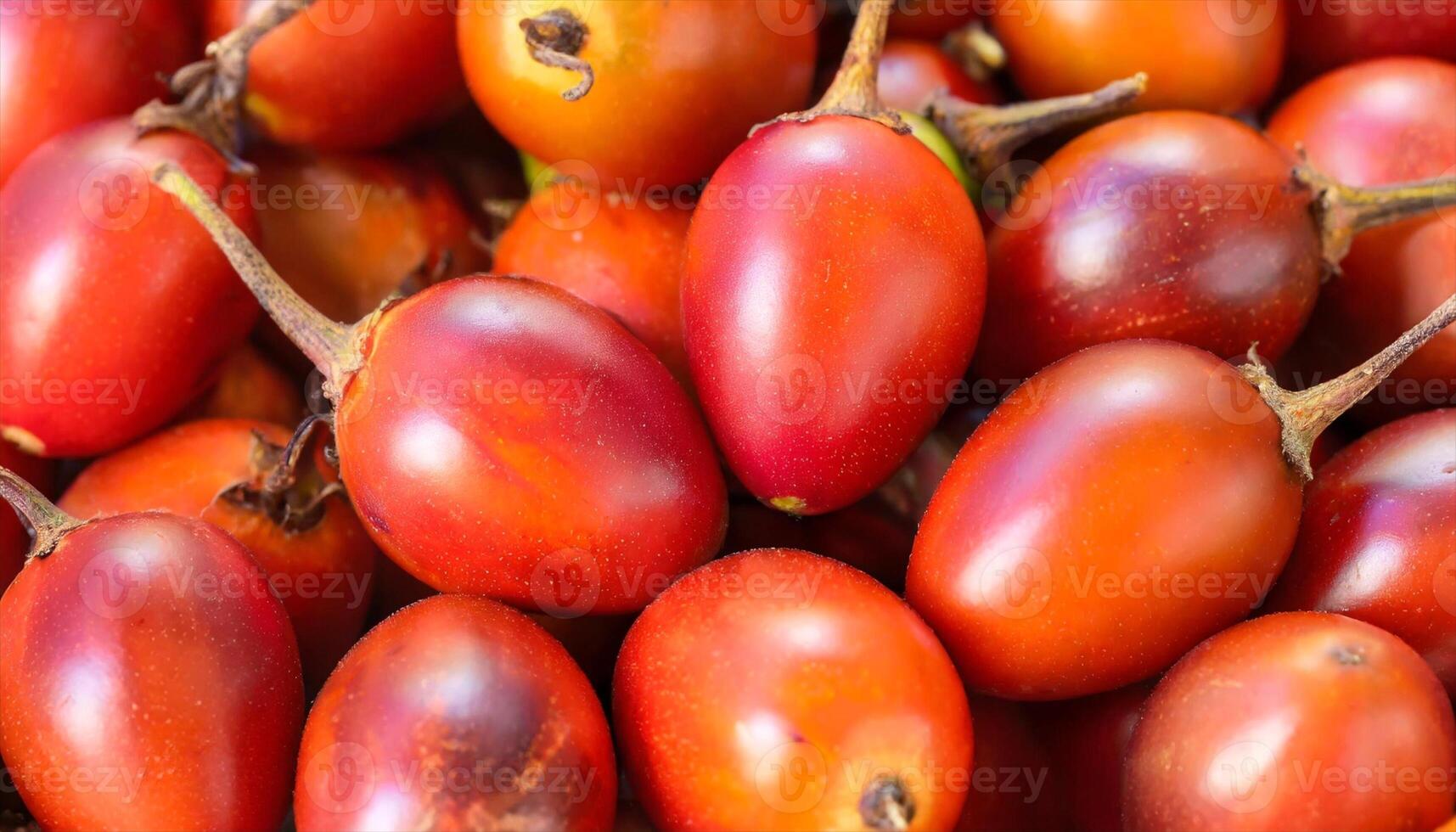 ai generato un' vicino su di un' mazzo di rosso e arancia tamarillo frutta foto