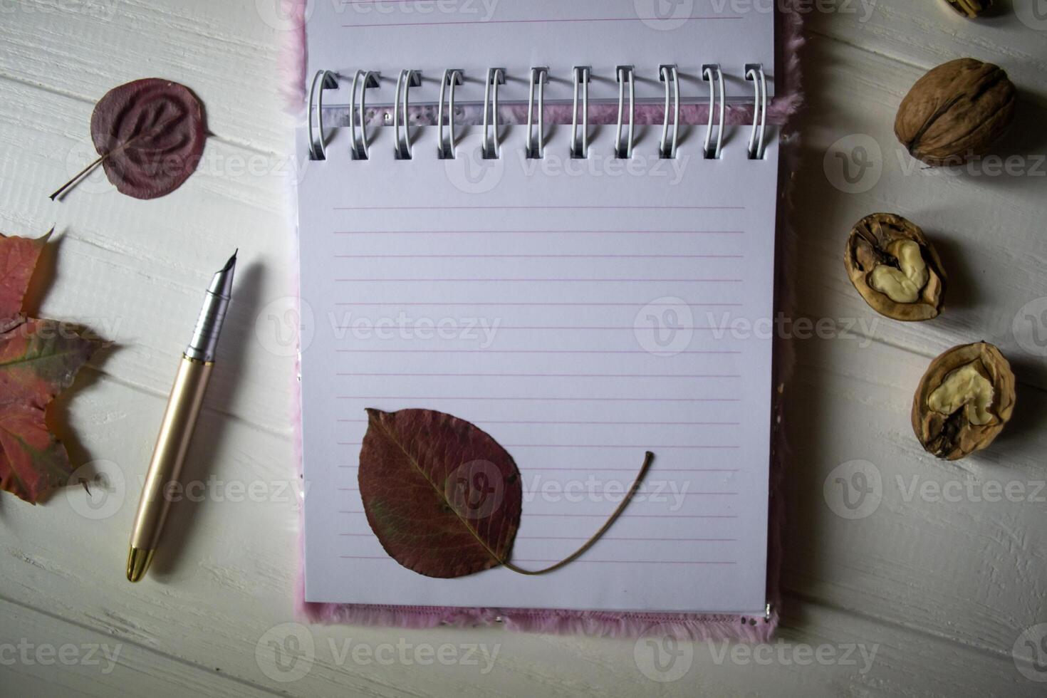 un ha aperto taccuino e penna su un' del desktop con decorazione di caduto le foglie. atmosferico autunno sfondo con copia spazio. foto
