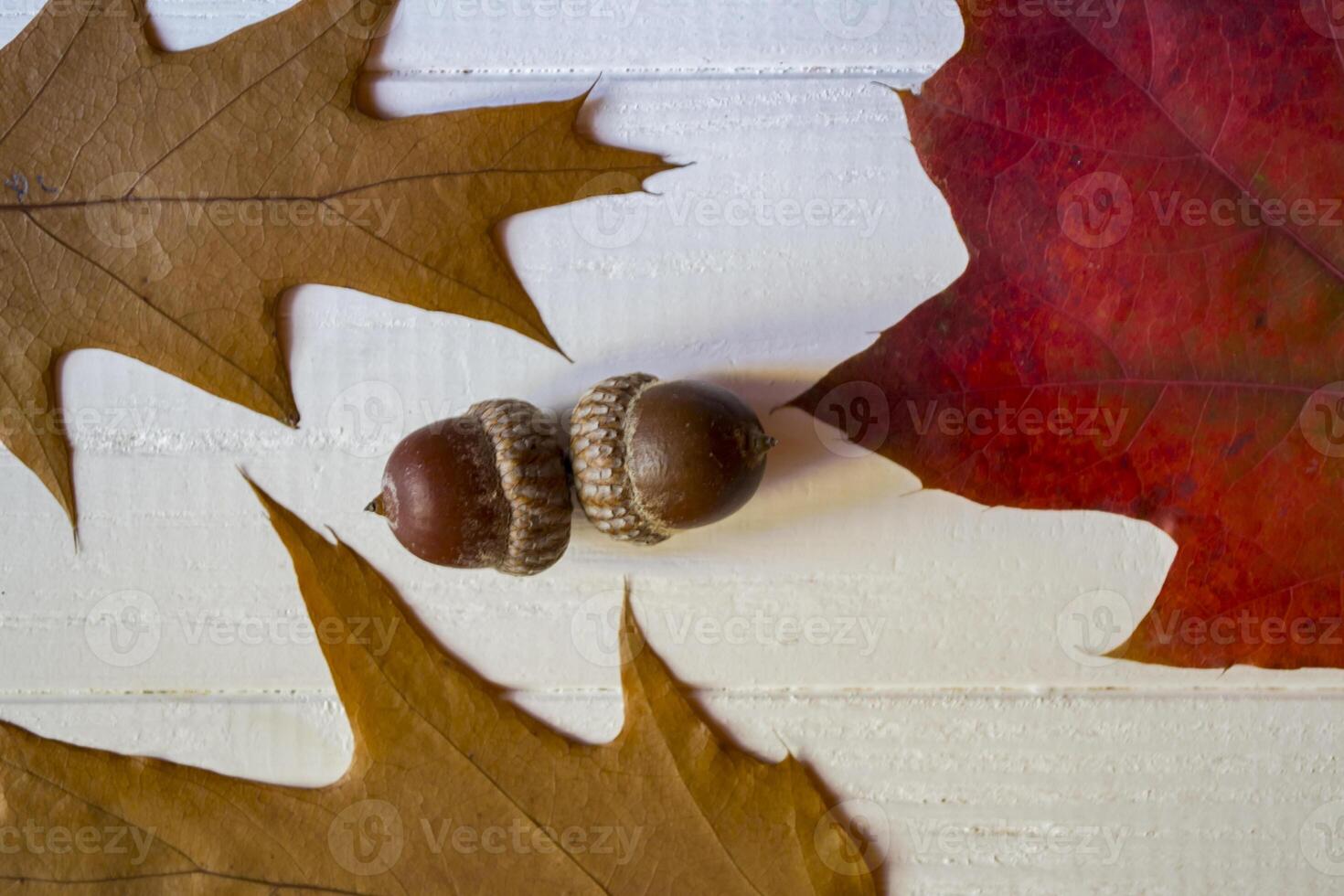 autunno le foglie su un' bianca di legno sfondo. luminosa modello. foto