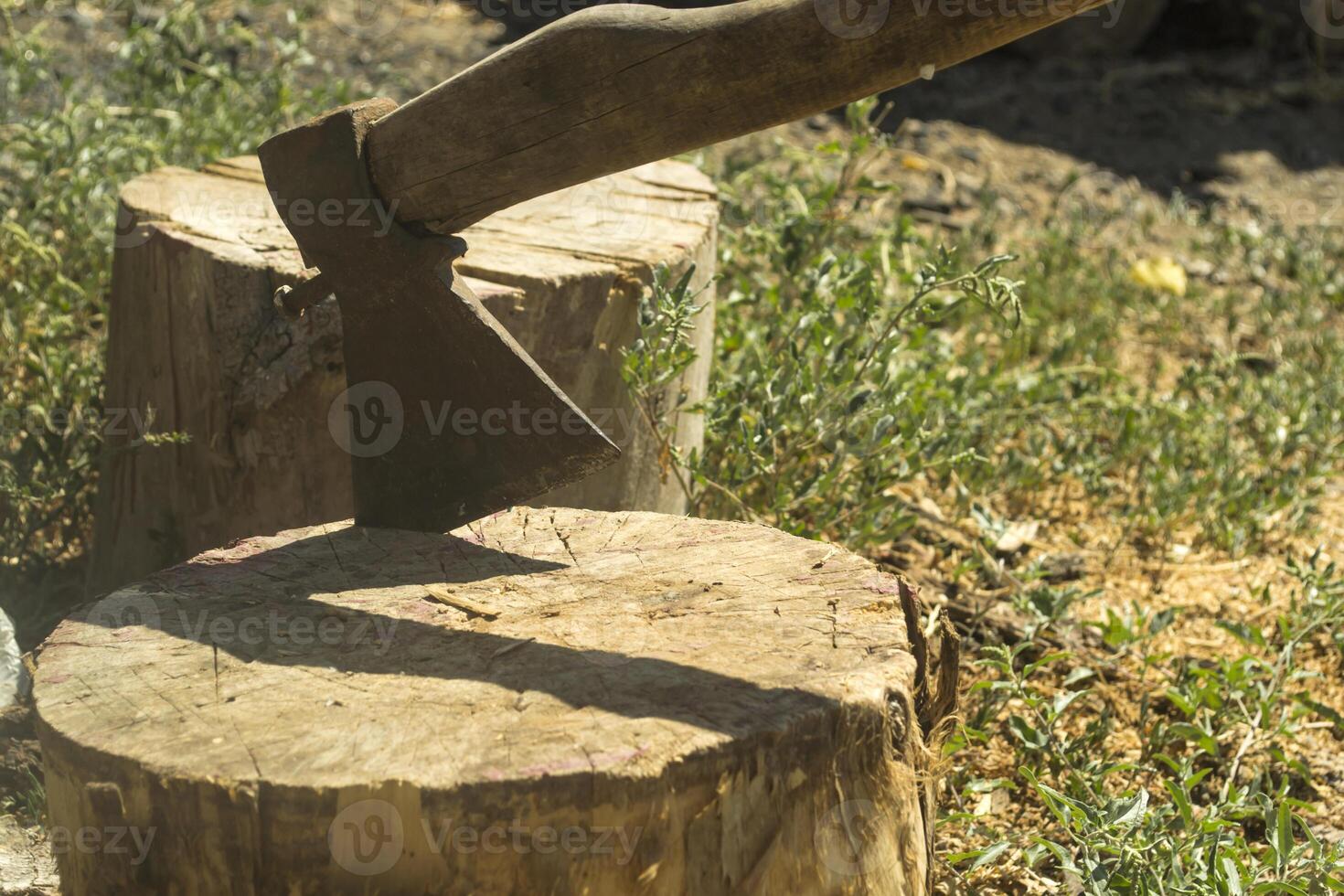 un ascia nel il di legno ceppo. foto