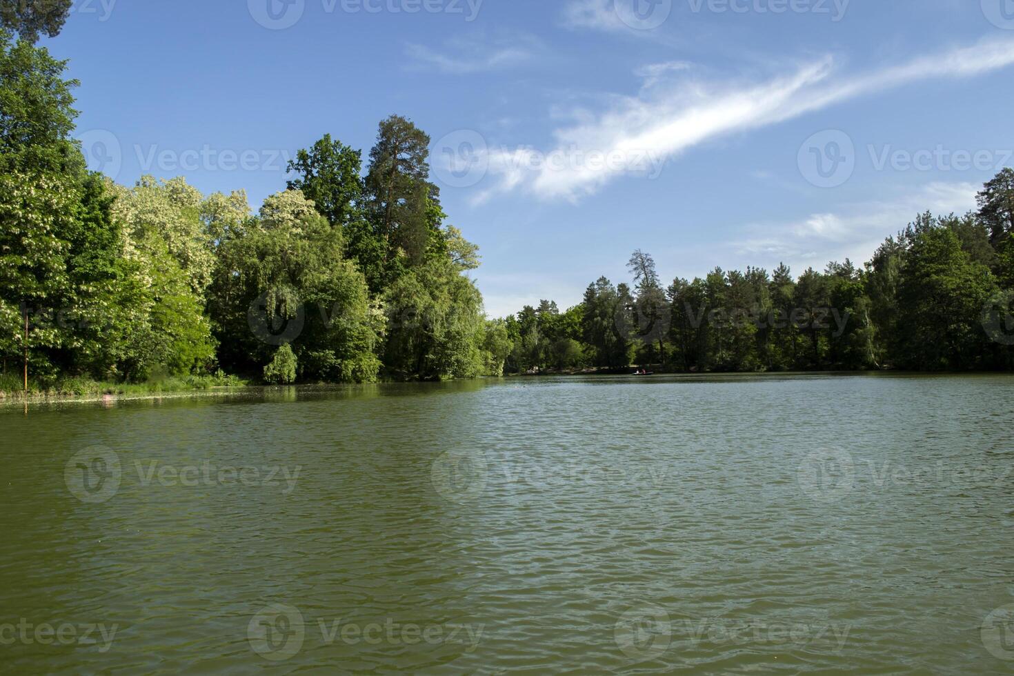 lago nel il foresta. estate paesaggio. foto