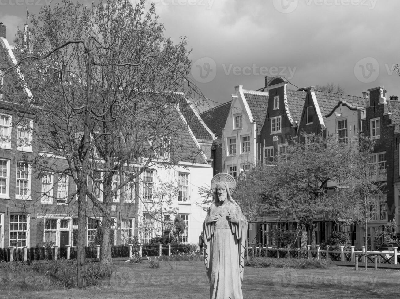 amsterdam nei Paesi Bassi foto