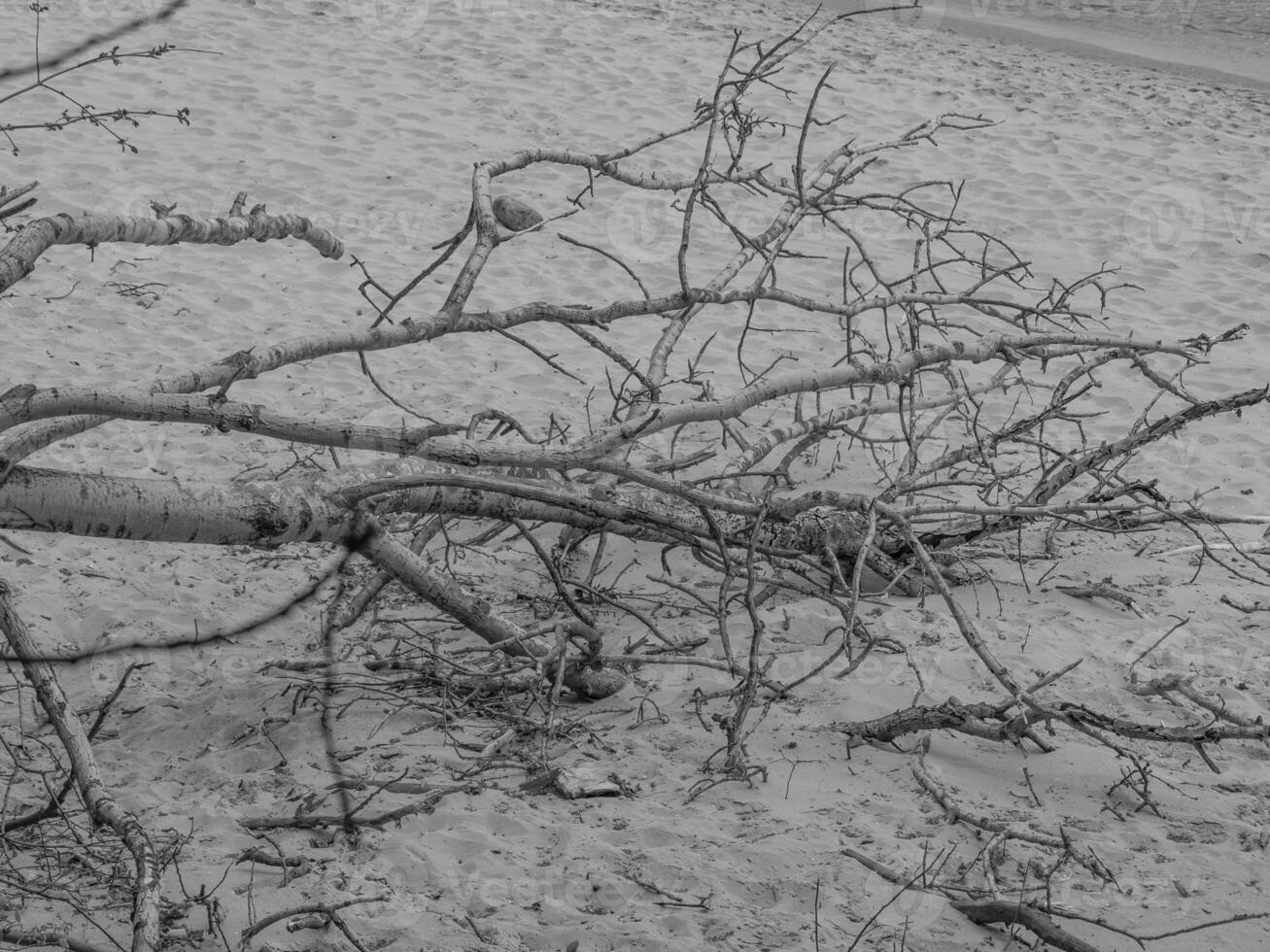 spiaggia nel Polonia foto