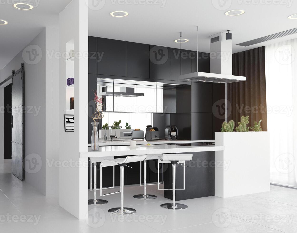 moderno cucina nero e bianca interno. foto