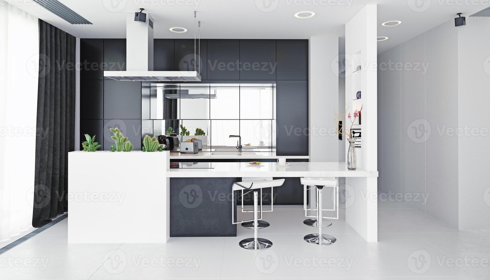 moderno cucina nero e bianca interno. foto
