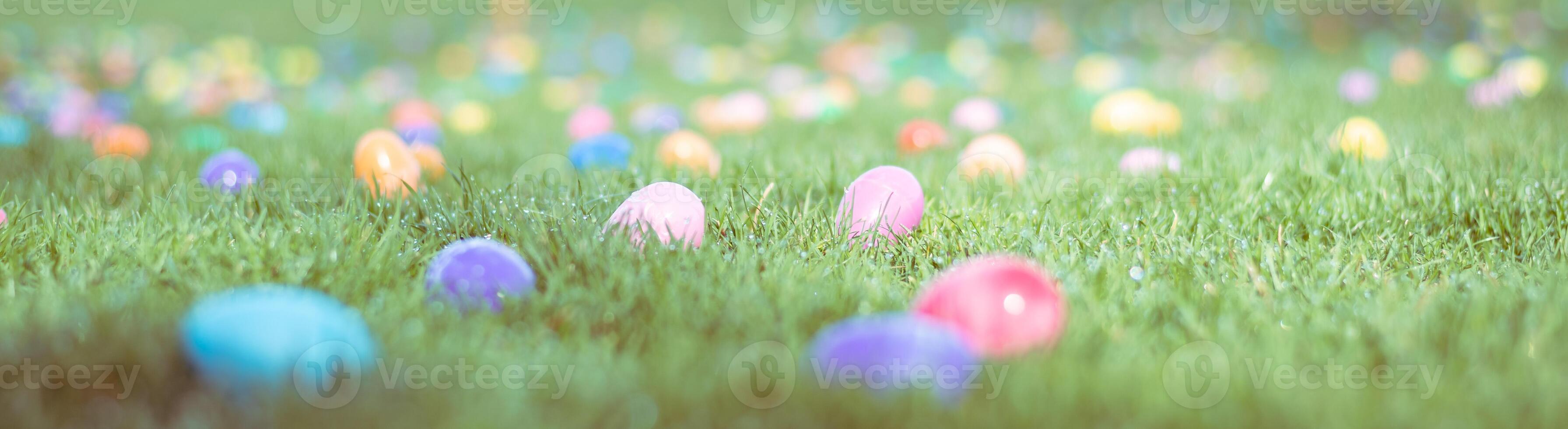 plastica colorato Pasqua uova diffusione nel un' erboso campo per bambino uovo caccia foto