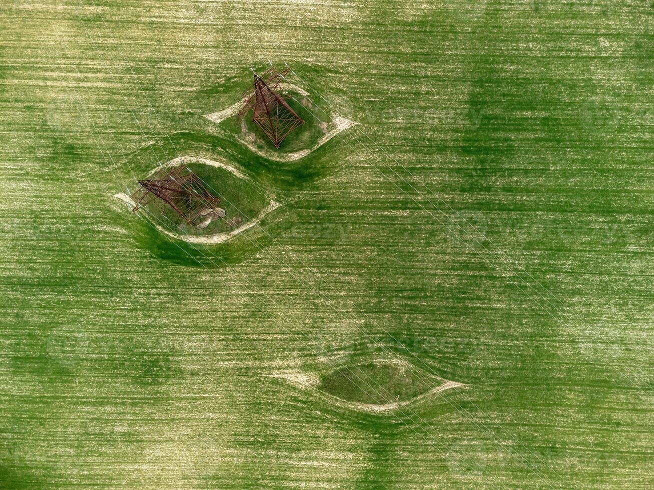 energia piloni nel verde campo. aereo Visualizza su verde Grano campo con energia piloni nel campagna. campo di Grano soffiaggio nel il vento su tramonto. agronomia, industria e cibo produzione. foto