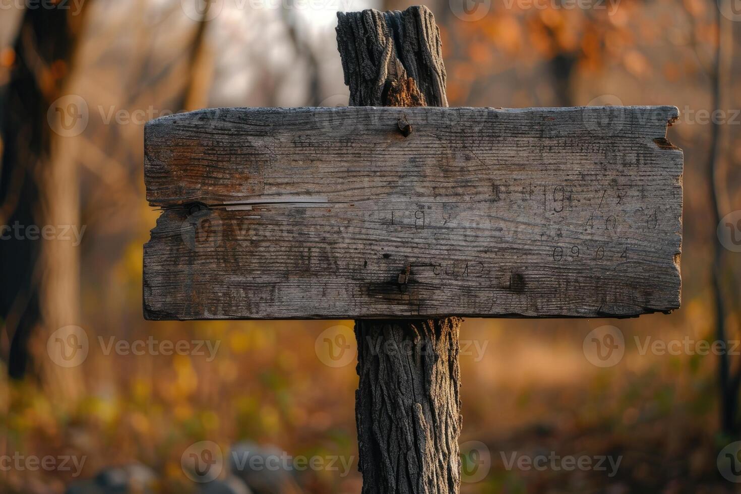 ai generato vecchio di legno cartello nel natura foto