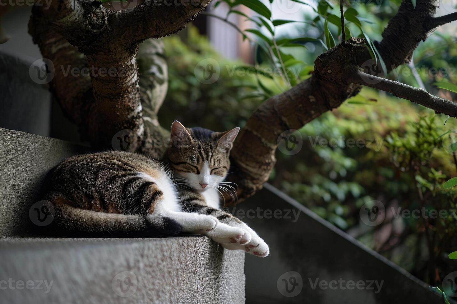 ai generato gatto rilassante su le scale con un' albero dietro a esso, nel il stile di buddista arte e architettura. foto