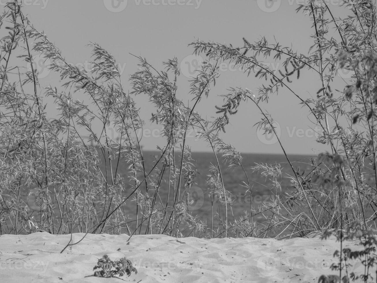 sopot nel Polonia foto