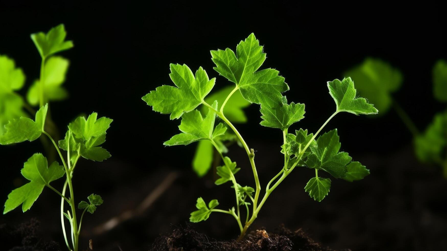 ai generato vite piantine in mostra giovane e promettente uva cluster foto