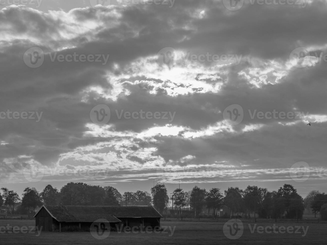 il Tedesco Münsterland foto