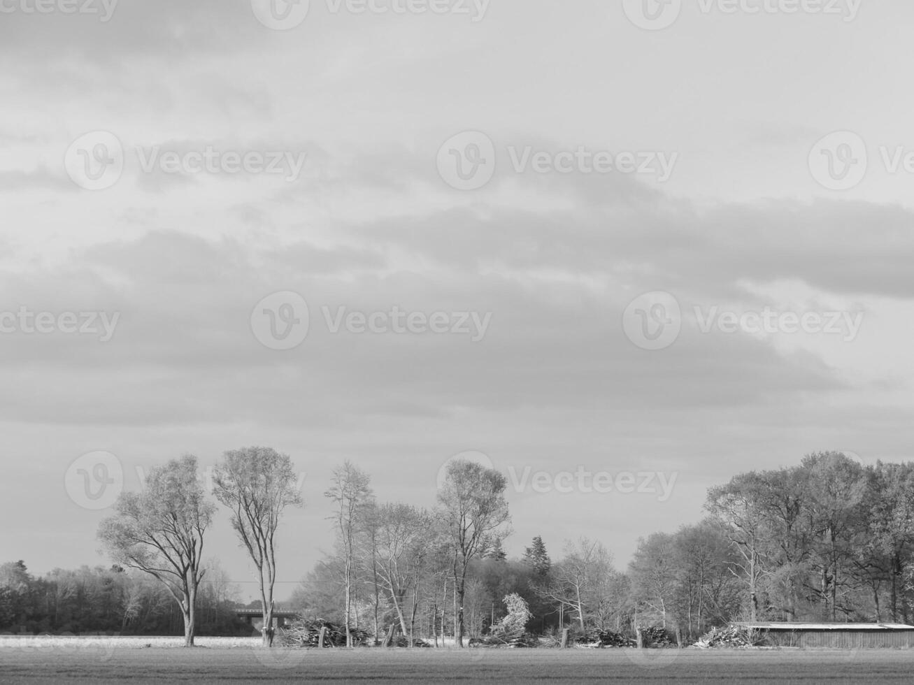 il Tedesco Münsterland foto