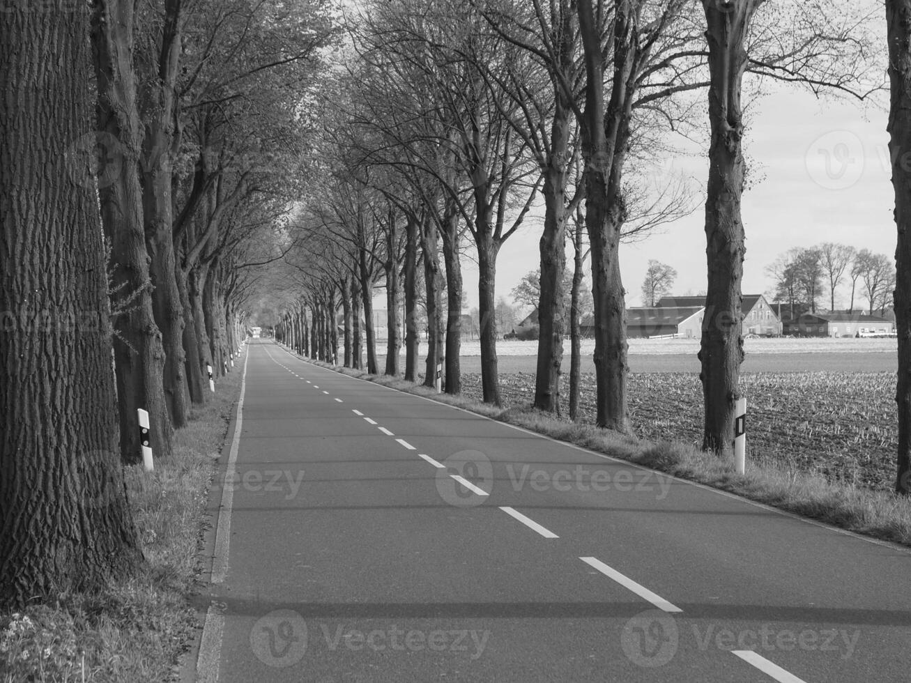 weseke nel westfalia foto