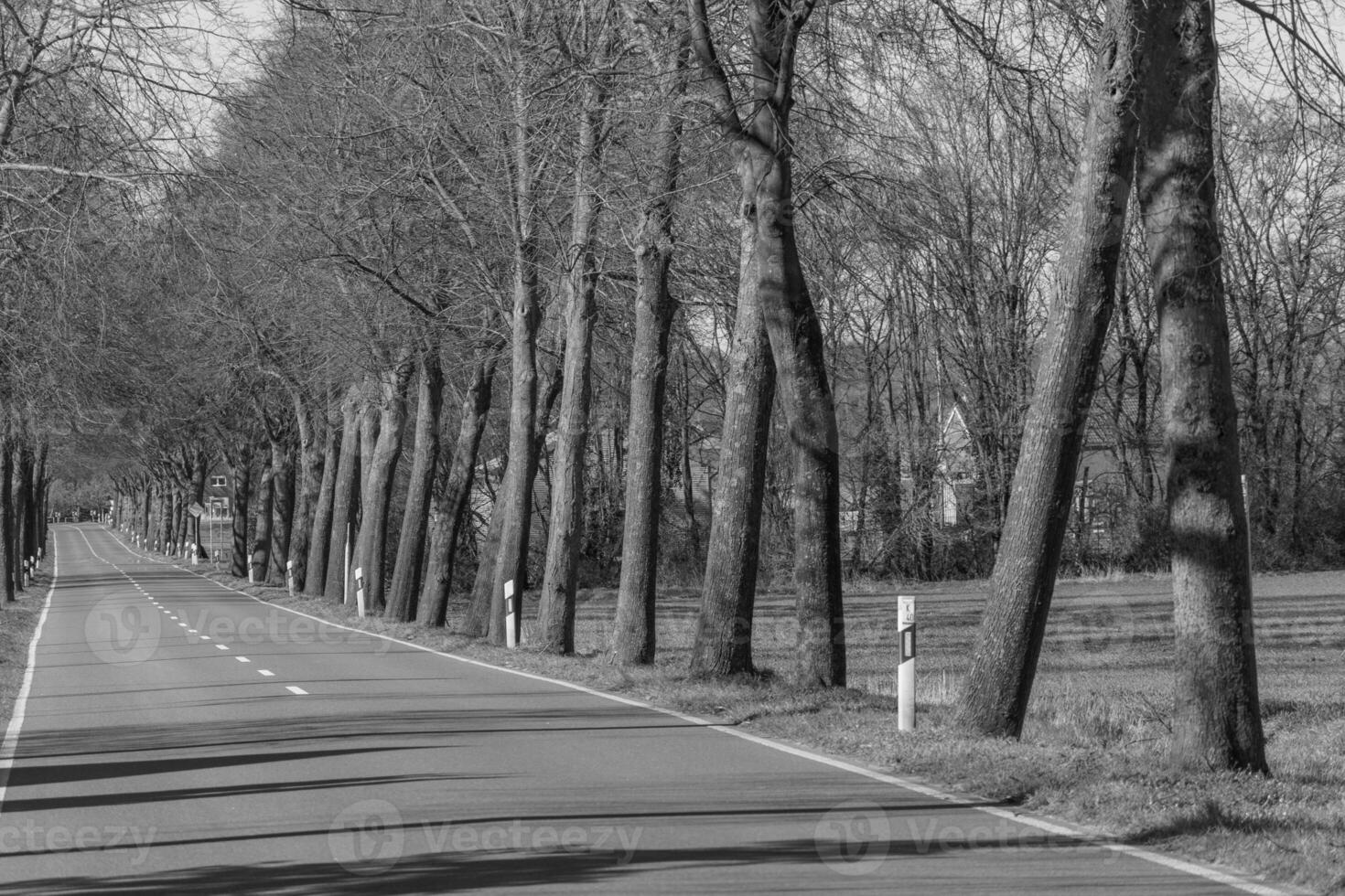 weseke nel westfalia foto