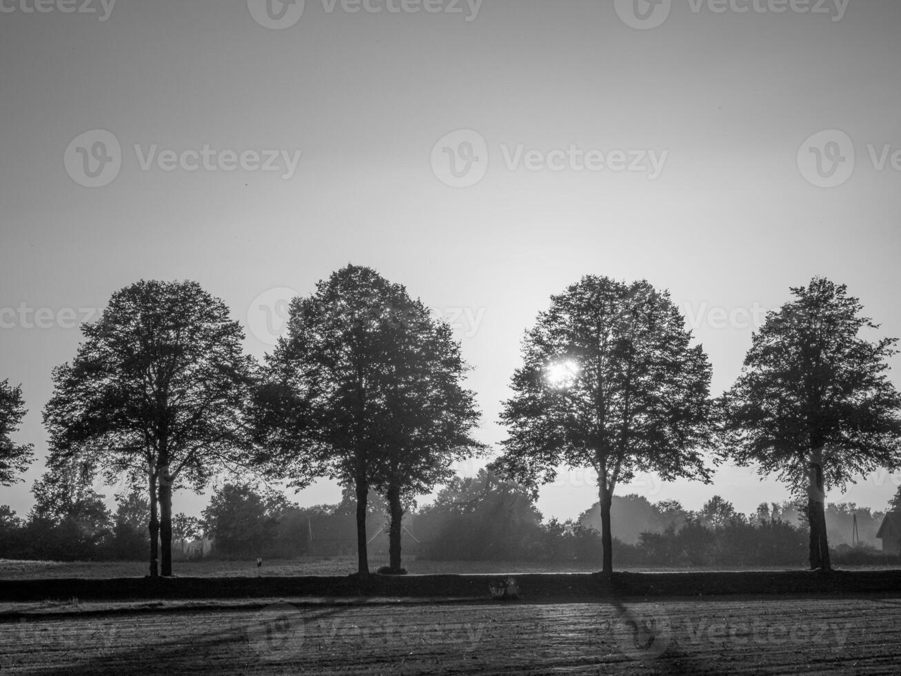 weseke nel westfalia foto