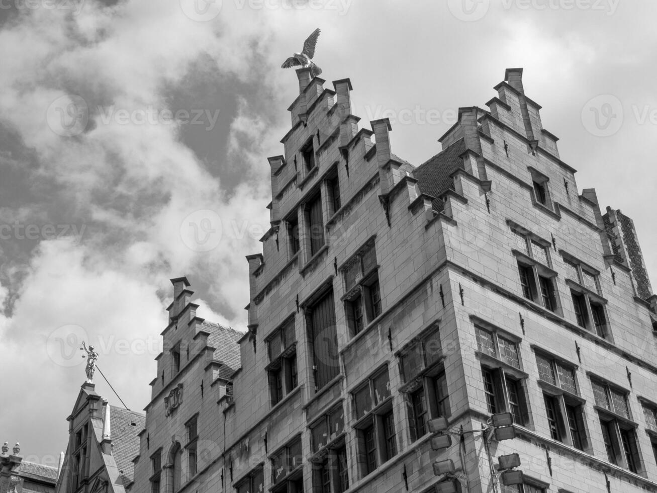 anversa città nel Belgio foto