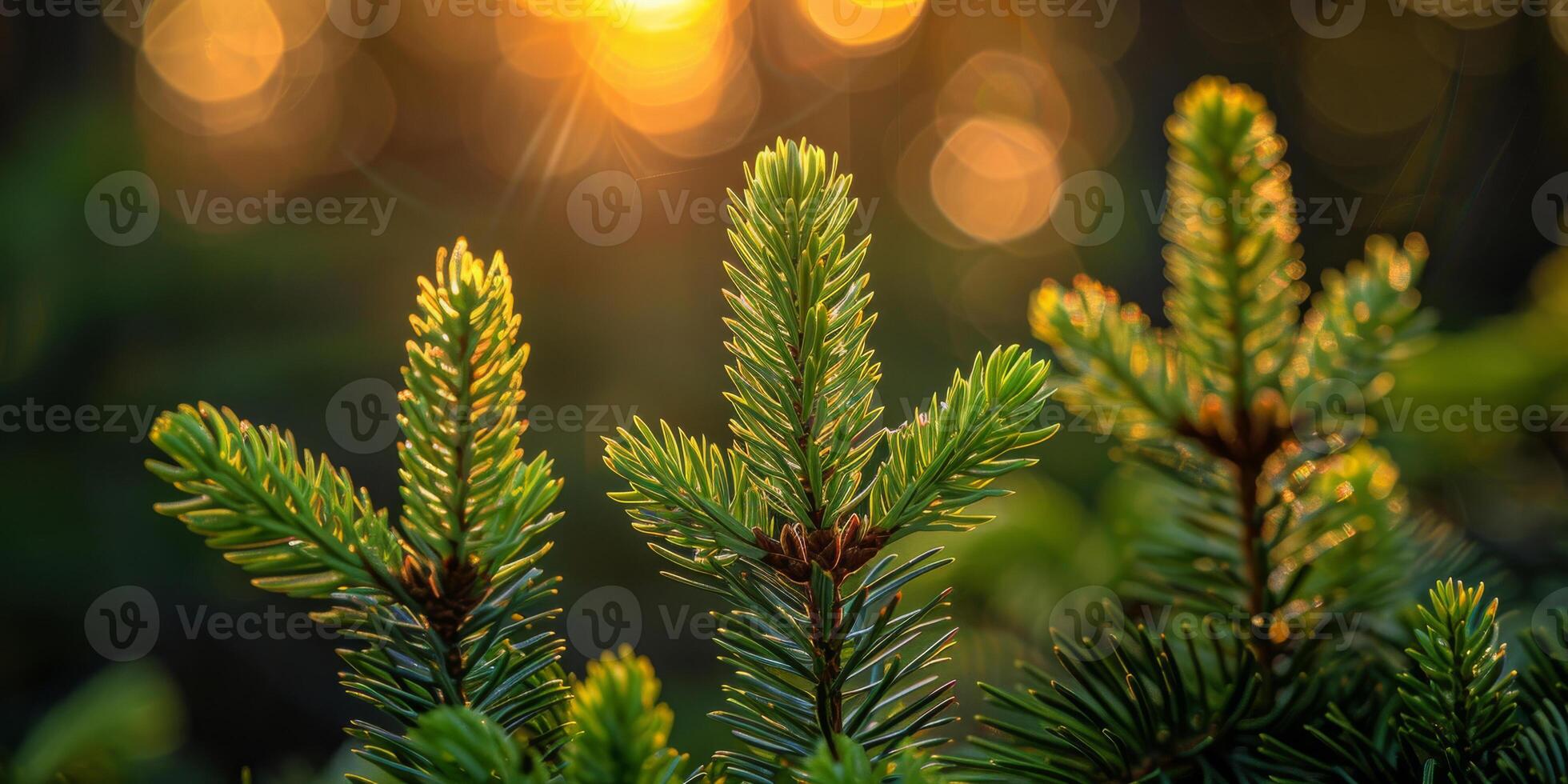 ai generato il luce del sole filtri attraverso il denso baldacchino di alberi nel il foresta, la creazione di un' screziata modello su il foresta pavimento. foto