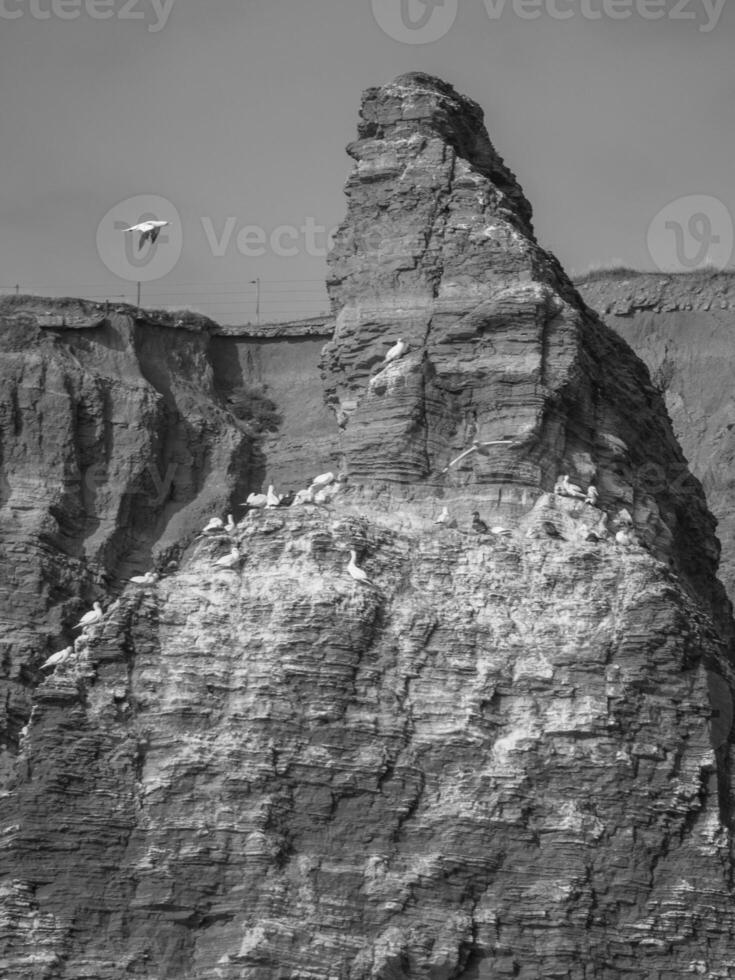 helgoland isola Germania foto