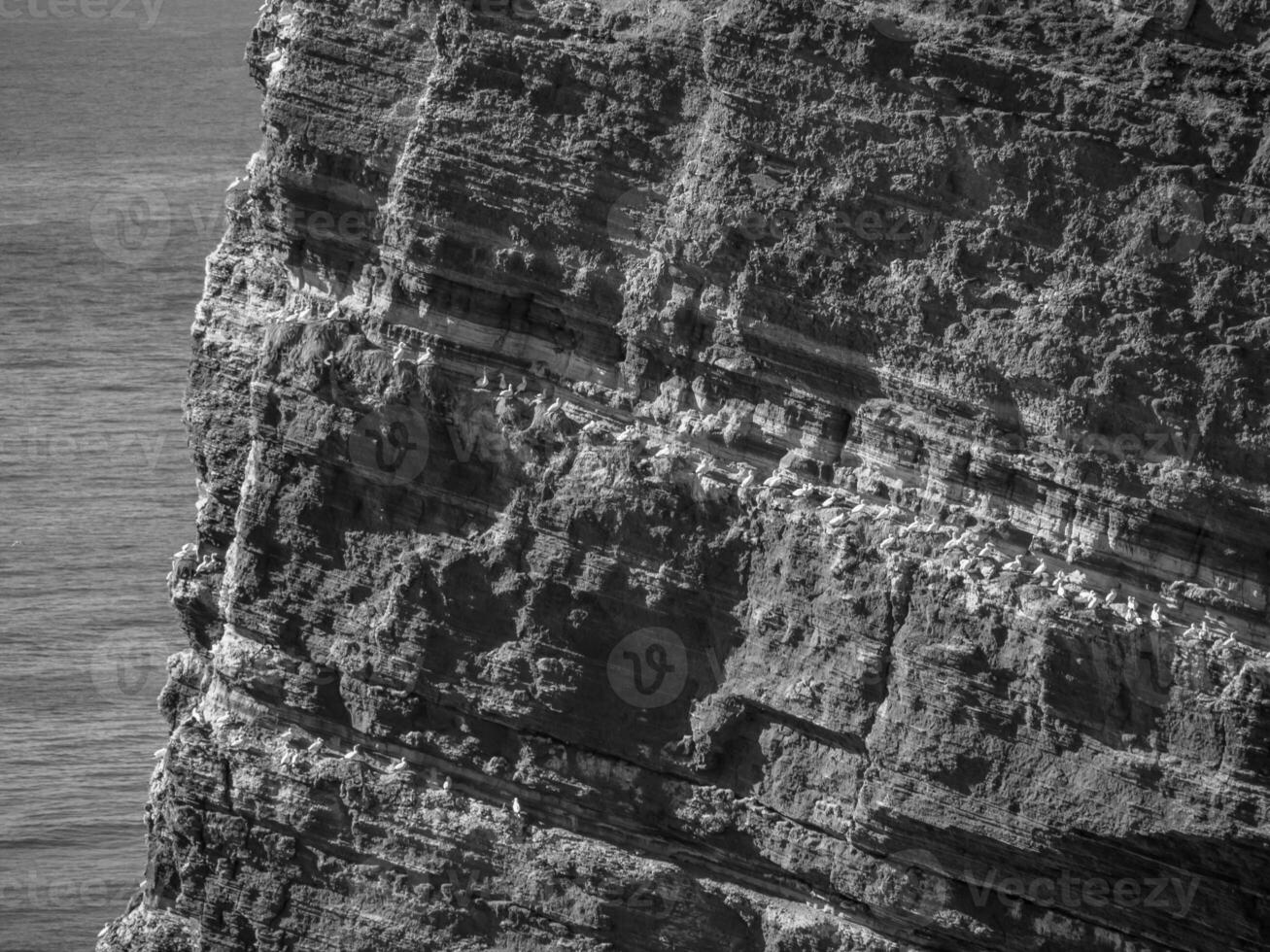 l'isola di Helgoland foto