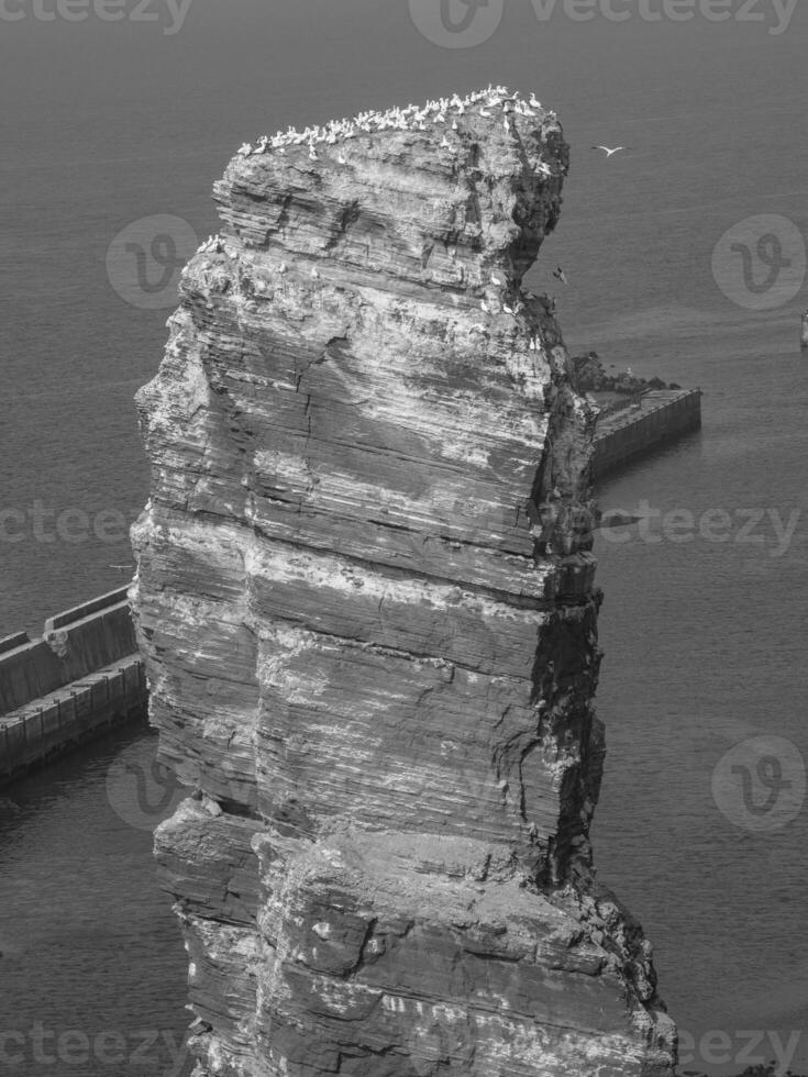 isola di helgoland in germania foto