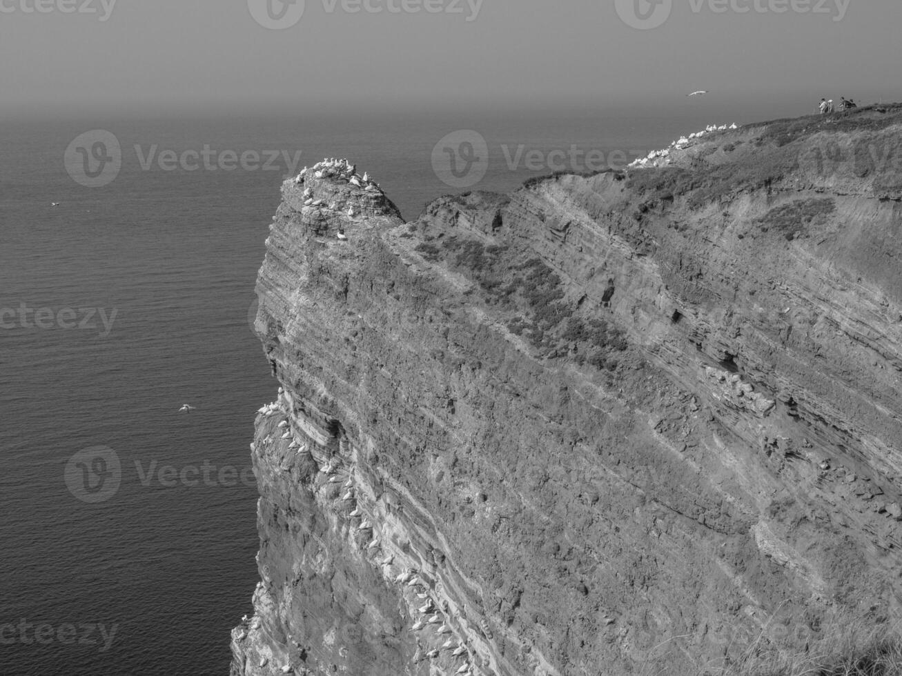 l'isola di Helgoland foto