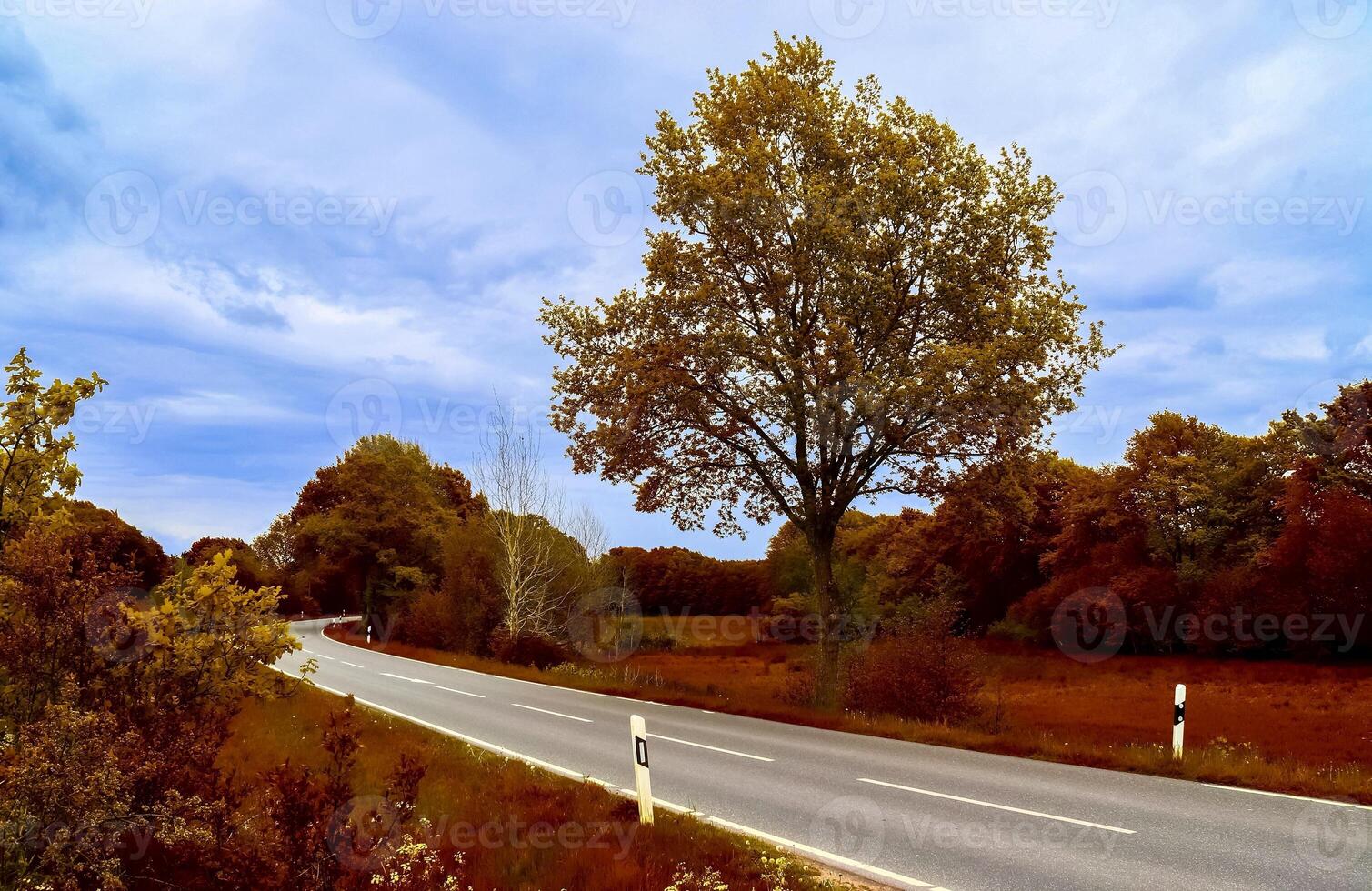 bellissimo panorama Visualizza su un' d'oro autunno paesaggio trovato nel Unione Europea foto