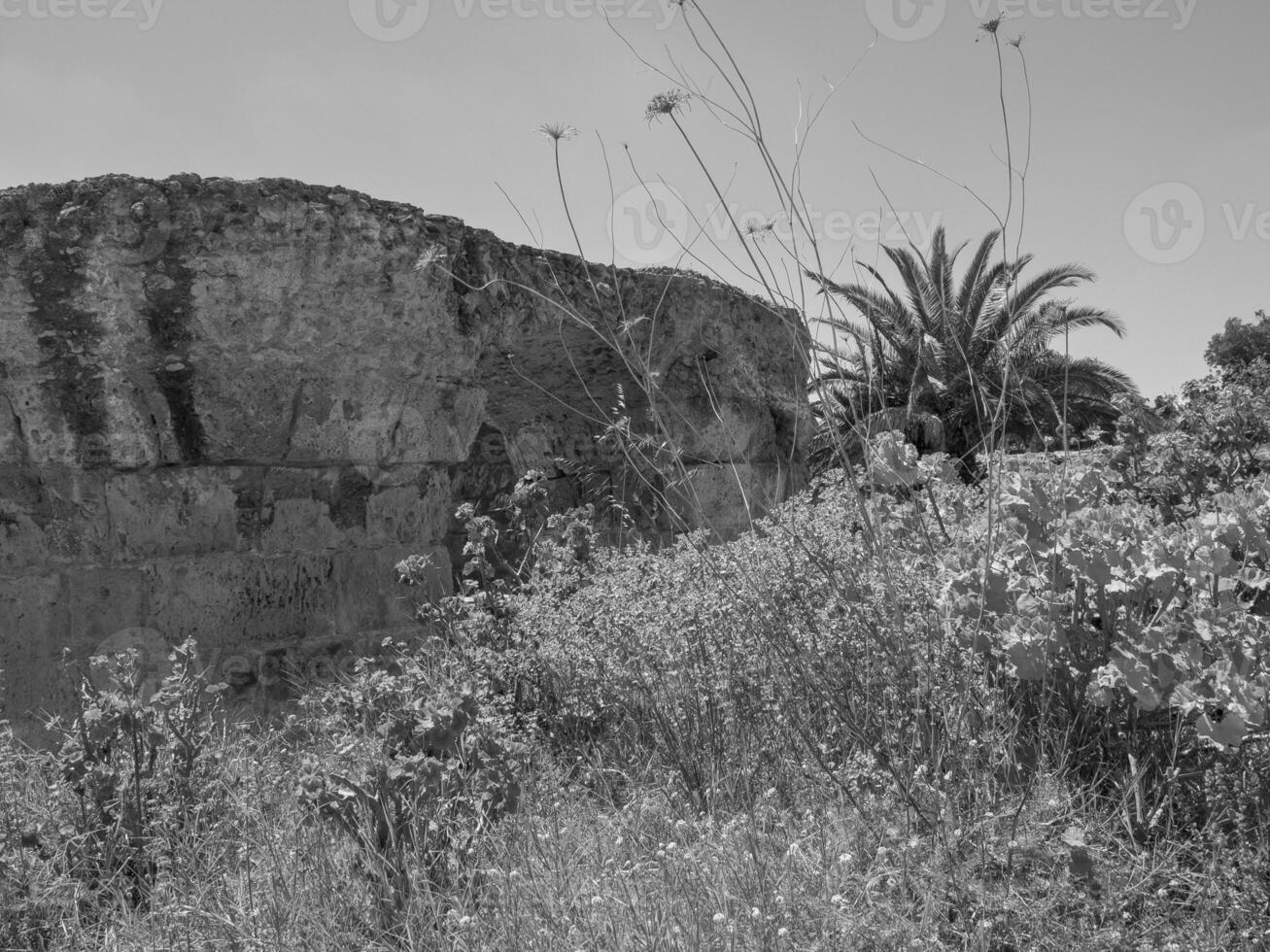 tunis nel tunisia foto