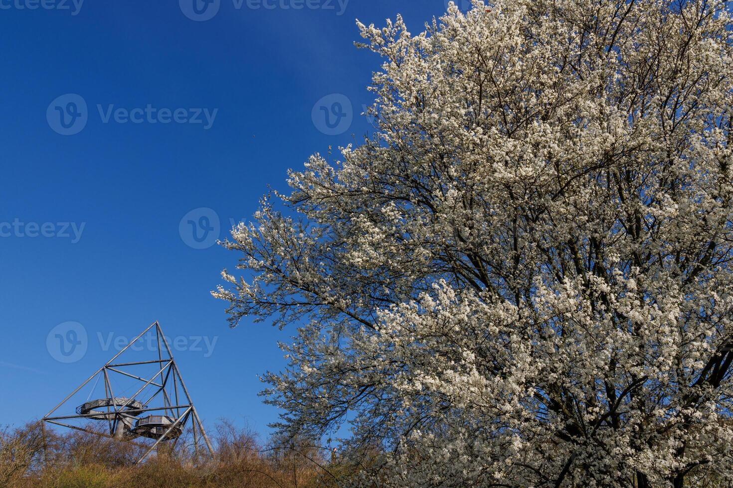 primavera tempo nel il Tedesco ruhr aerea foto