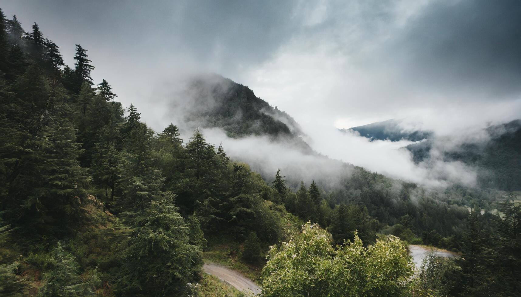 ai generato foresta alberi paesaggio con nebbioso nebbia nuvole nel il selvaggio foto