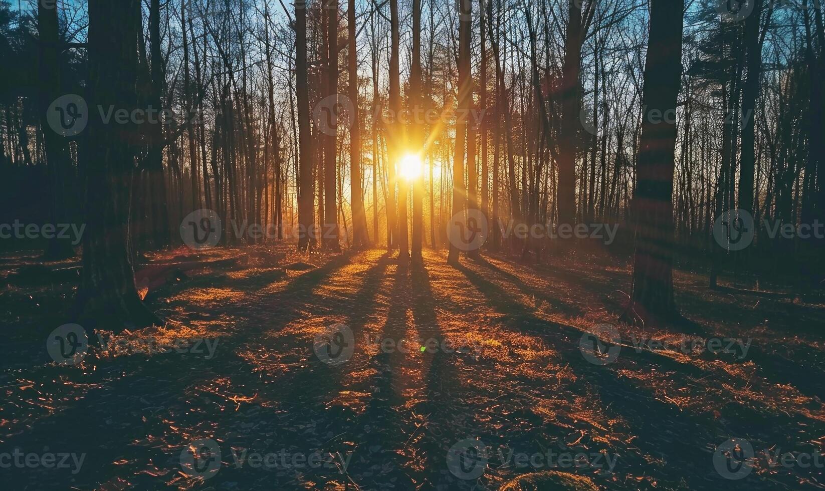 ai generato tramonto nel il pino foresta. bellissimo natura scena con sole raggi foto