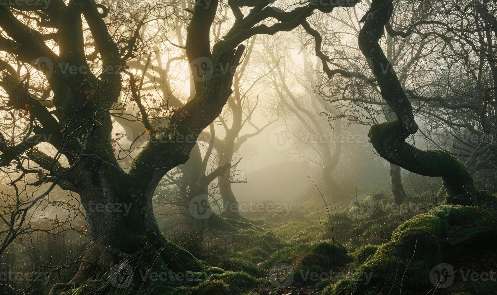 ai generato vecchio quercia alberi nel nebbioso foresta a Alba. misterioso buio foresta con muschioso alberi e nebbia nel il sfondo foto