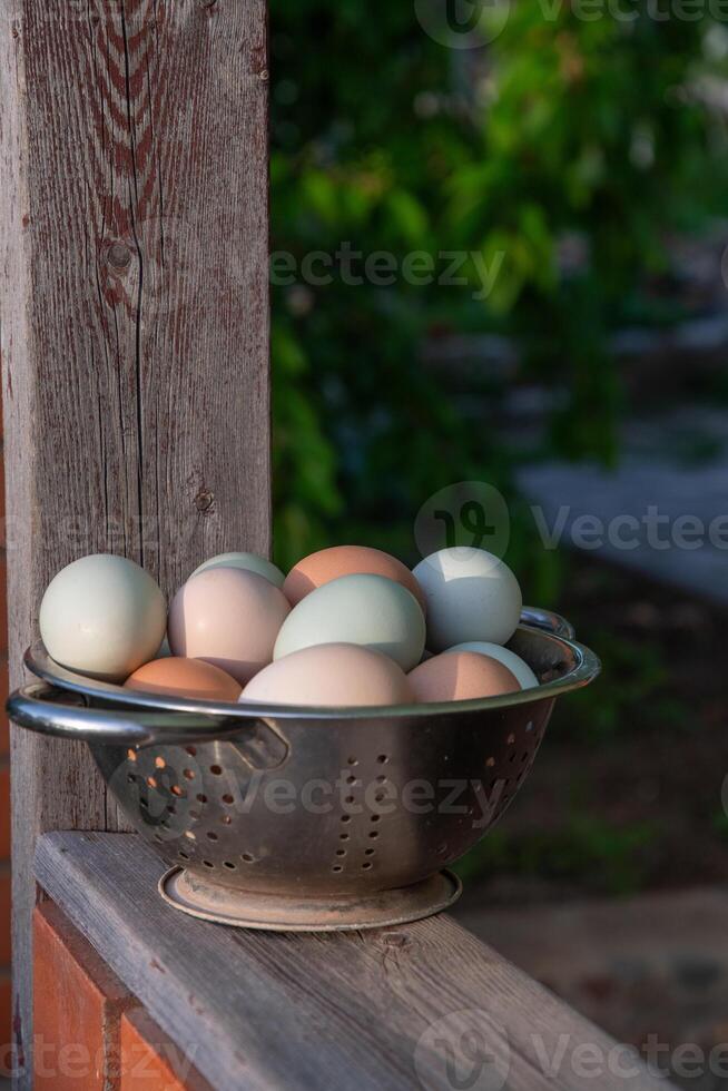 colino con fresco biologico pollo uova di diverso colori, raccolto nel pollo cooperativa, su il ringhiera di giardino Casa foto