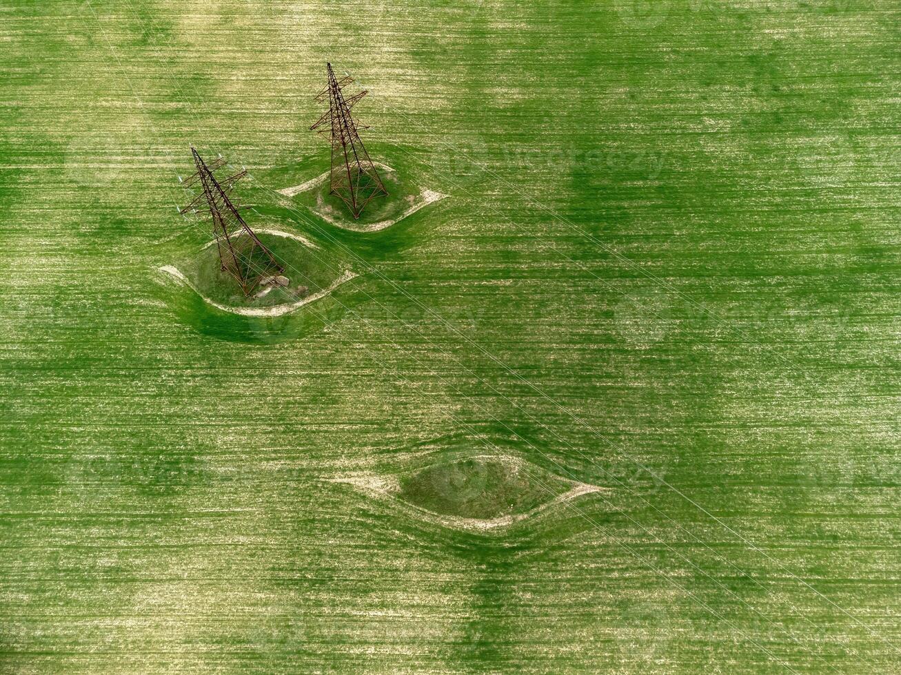 energia piloni nel verde campo. aereo Visualizza su verde Grano campo con energia piloni nel campagna. campo di Grano soffiaggio nel il vento su tramonto. agronomia, industria e cibo produzione. foto