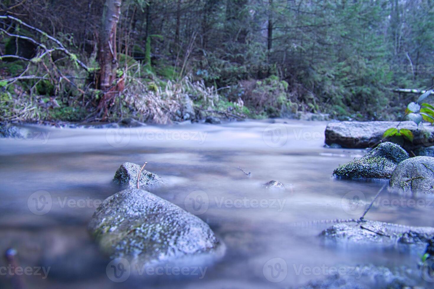 lungo esposizione tiro di un' fiume, pietra nel il primo piano. foresta nel il sfondo foto