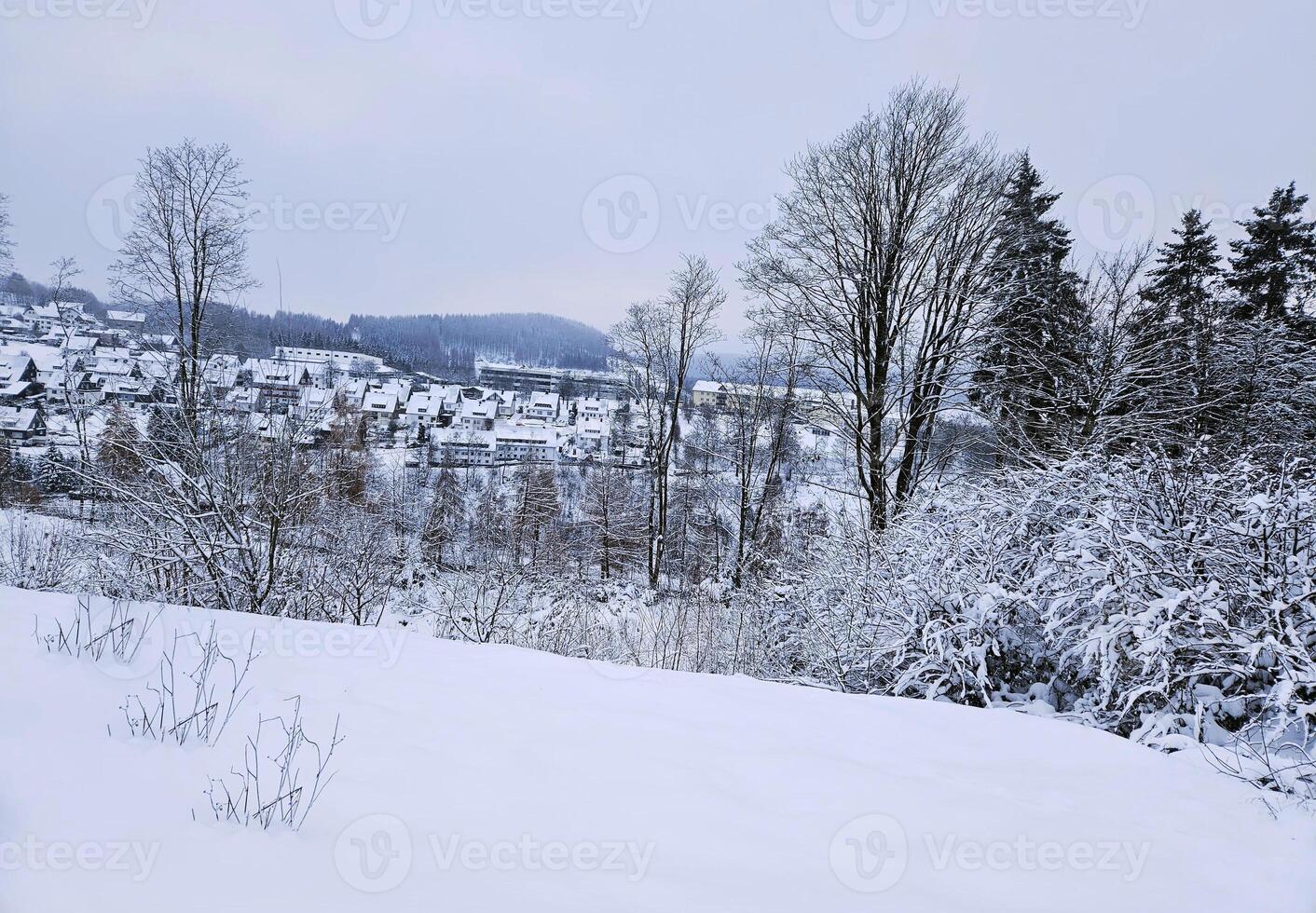 inverno villaggi sfondo foto