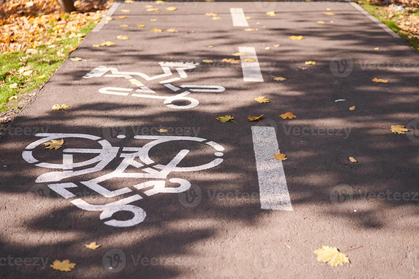 un' cartello per ciclisti disegnato di bianca dipingere su un' strada nel un' parco. foto