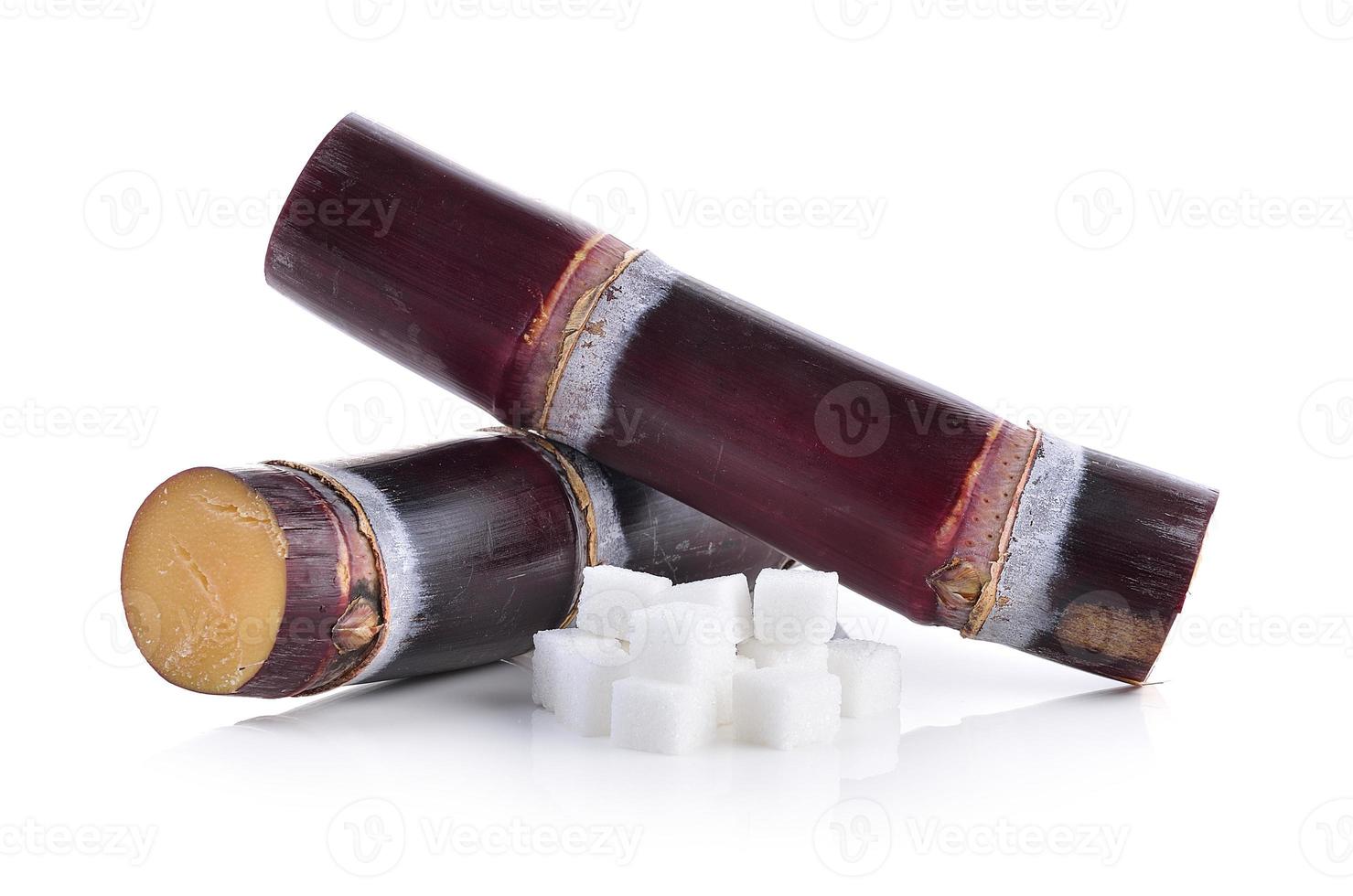 canna da zucchero e zolletta di zucchero su sfondo bianco foto