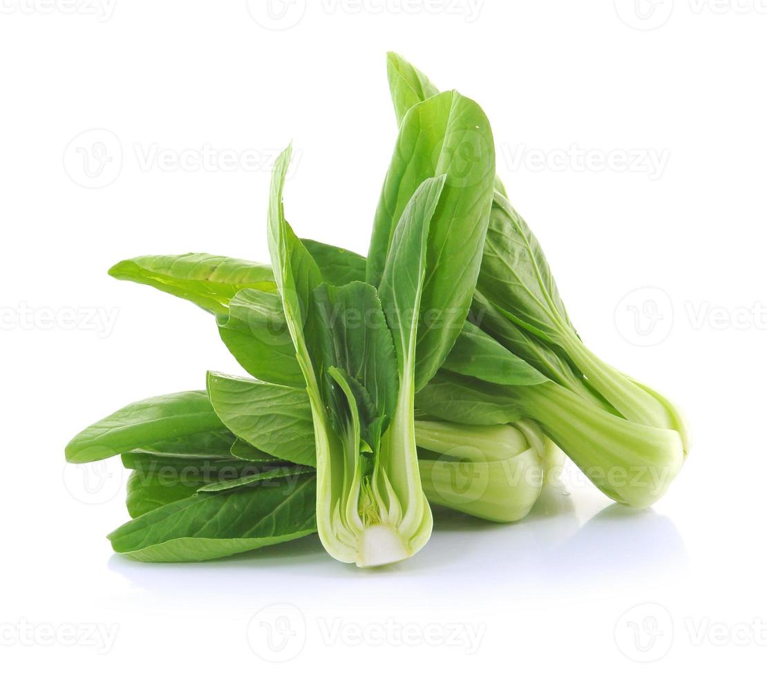 bok choy isolato su bianco foto