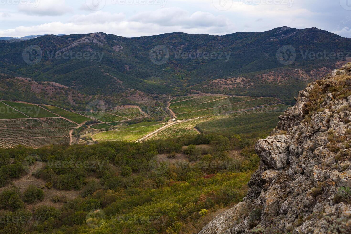 bellissimo valle nel il montagne con vigneti foto