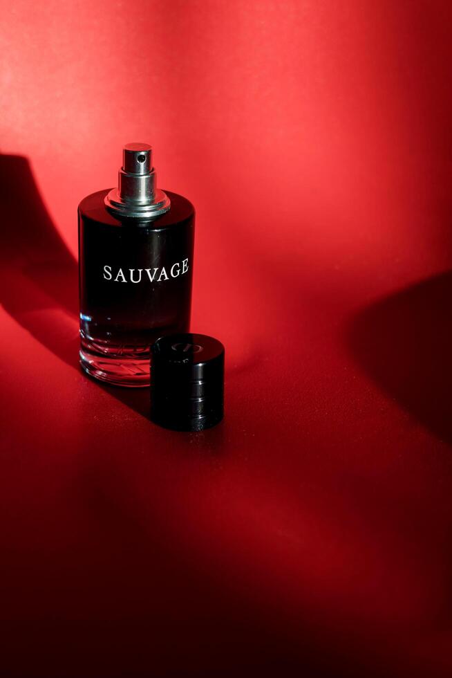 Minsk, bielorussia, marzo 20, 2024 - dior sauvage - originale francese profumo foto