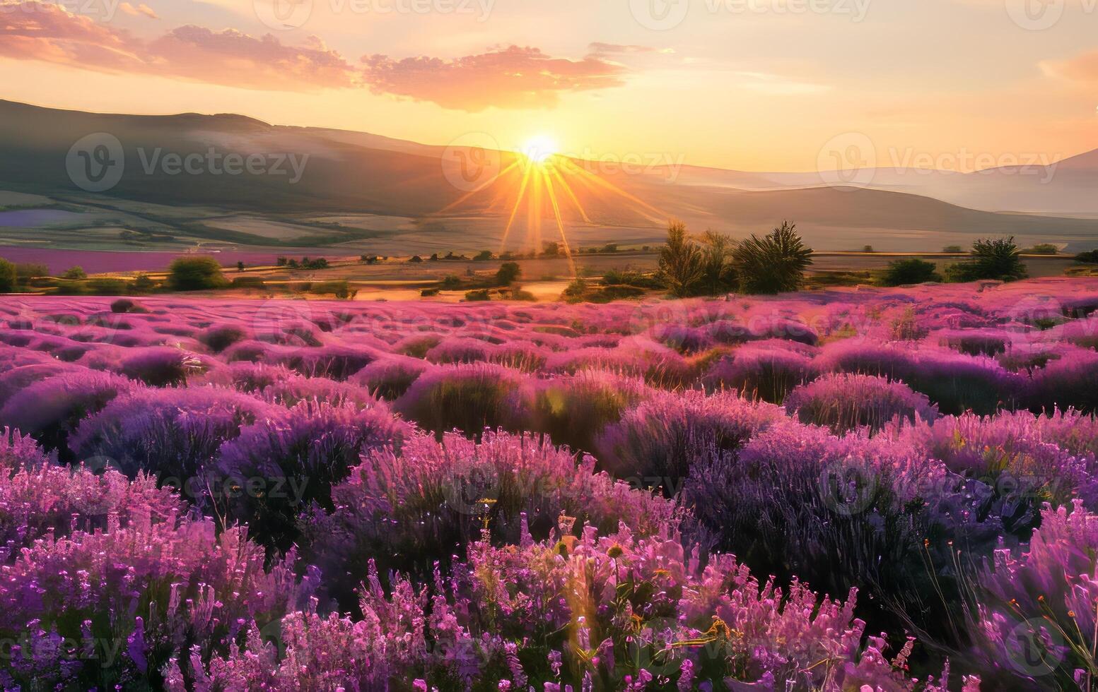 ai generato maestoso tramonto al di sopra di fioritura viola fiori valle e lontano montagna gamma foto