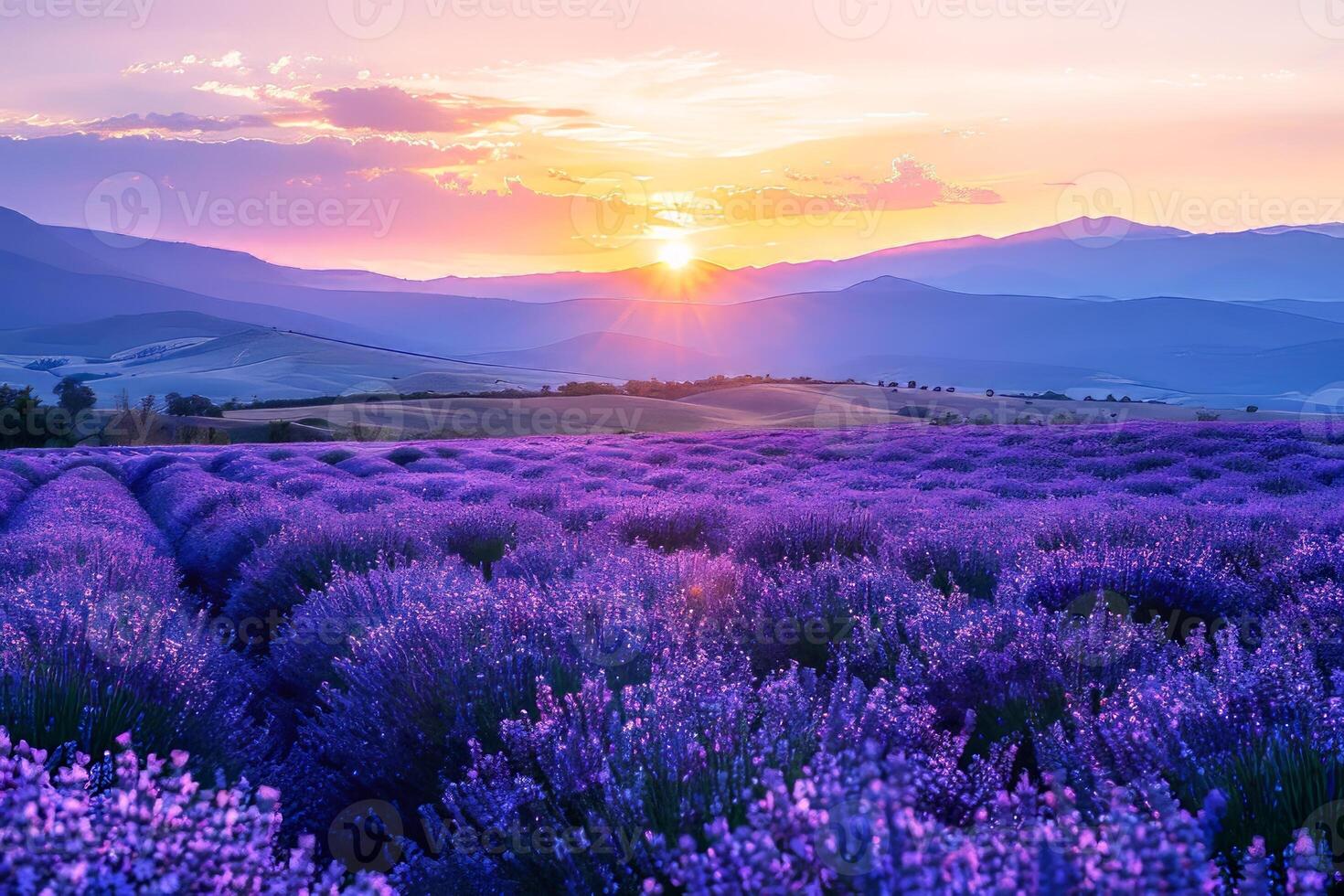ai generato maestoso tramonto al di sopra di fioritura viola fiori valle e lontano montagna gamma foto