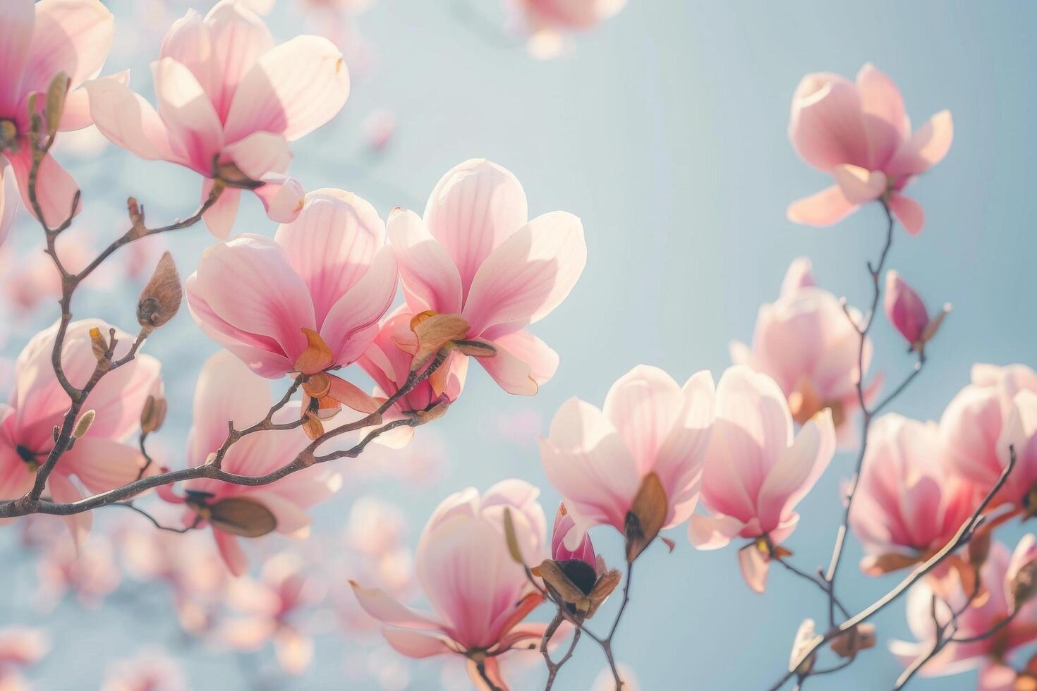 ai generato magnolie nel morbido rosa tonalità foto