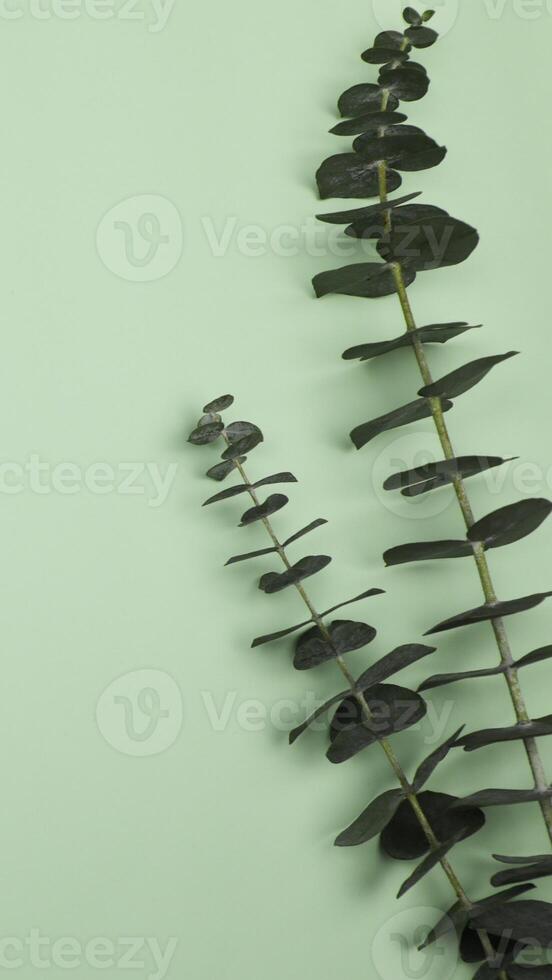 verde sfondo semplice le foglie struttura - 108 foto
