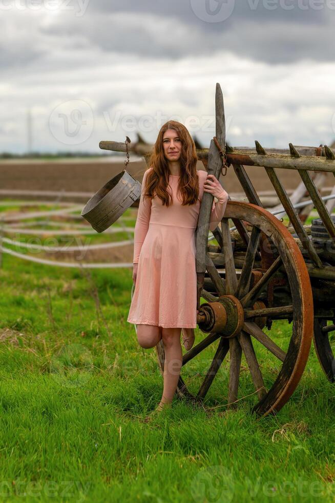 bella giovane donna nel un' rosa vestito nel davanti di un' cavallo disegnato carrozza foto